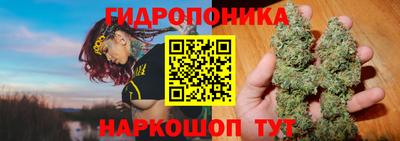 МДПВ Ипатово