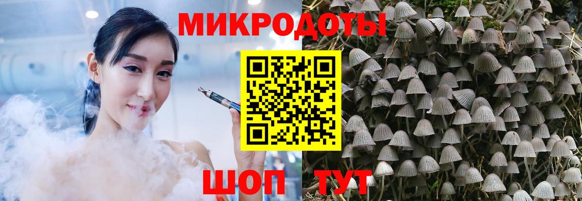 Людиново  Псилоцибиновые грибы Magic Shrooms  Вход с VPN 